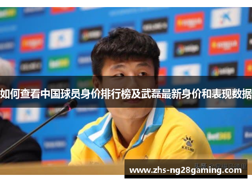 如何查看中国球员身价排行榜及武磊最新身价和表现数据
