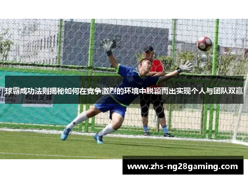 球霸成功法则揭秘如何在竞争激烈的环境中脱颖而出实现个人与团队双赢