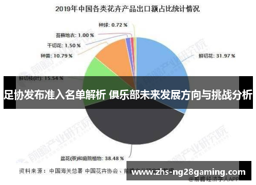 足协发布准入名单解析 俱乐部未来发展方向与挑战分析