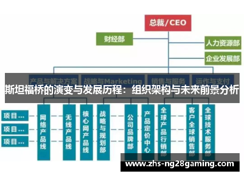 斯坦福桥的演变与发展历程:组织架构与未来前景分析 斯坦福桥的演变与发展历程:组织架构与未来前景分析